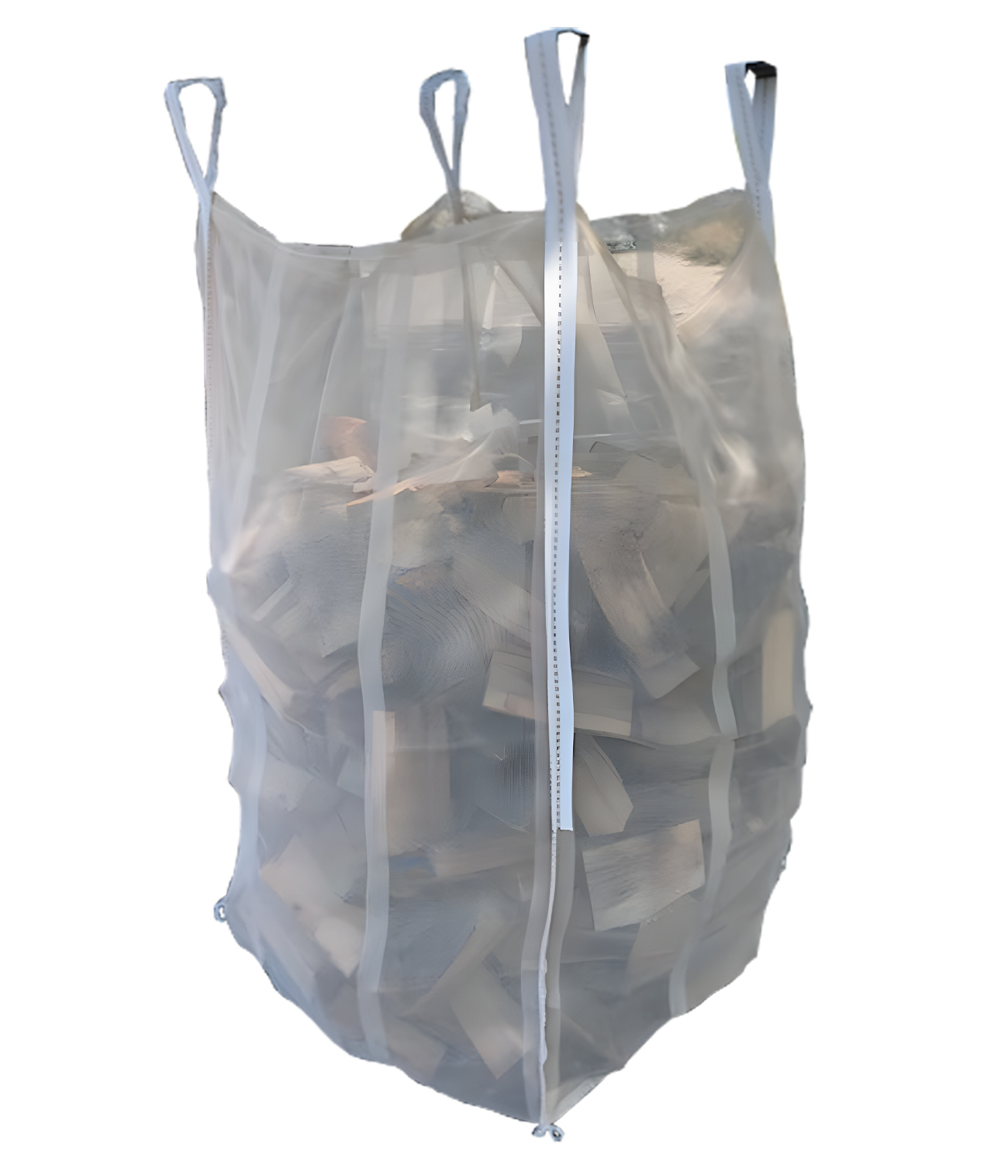 Corporal Bark Beetle