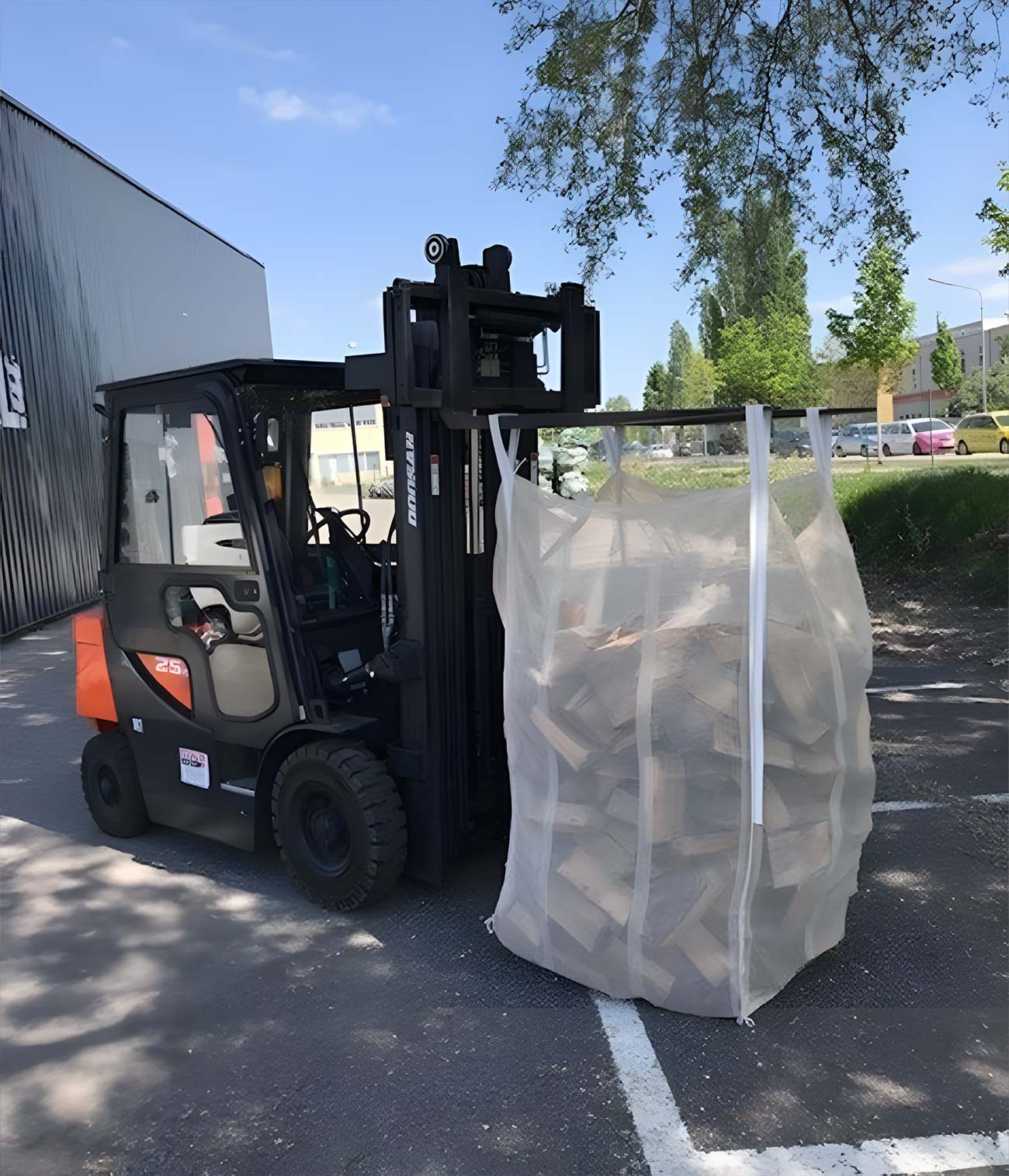 corporal-bark-beetle-produkt-bild4