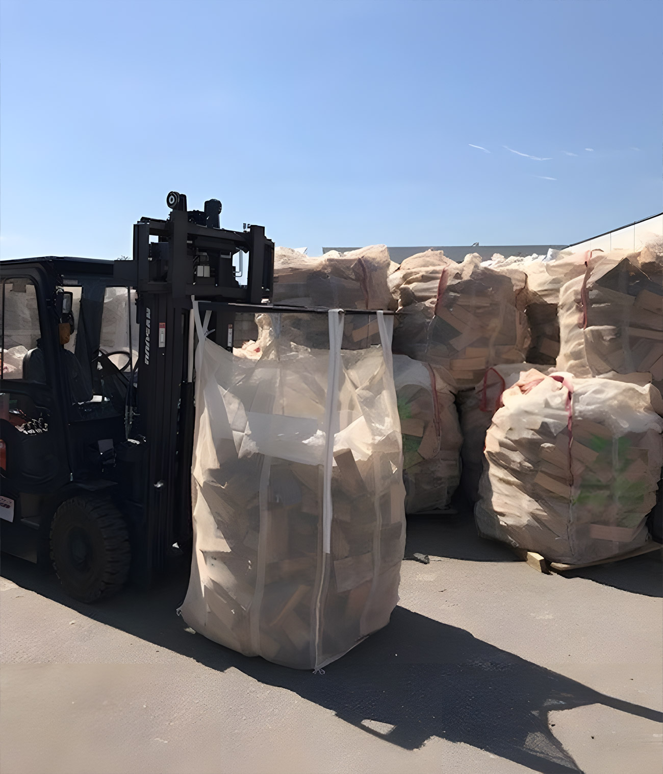 corporal-bark-beetle-produkt-bild5